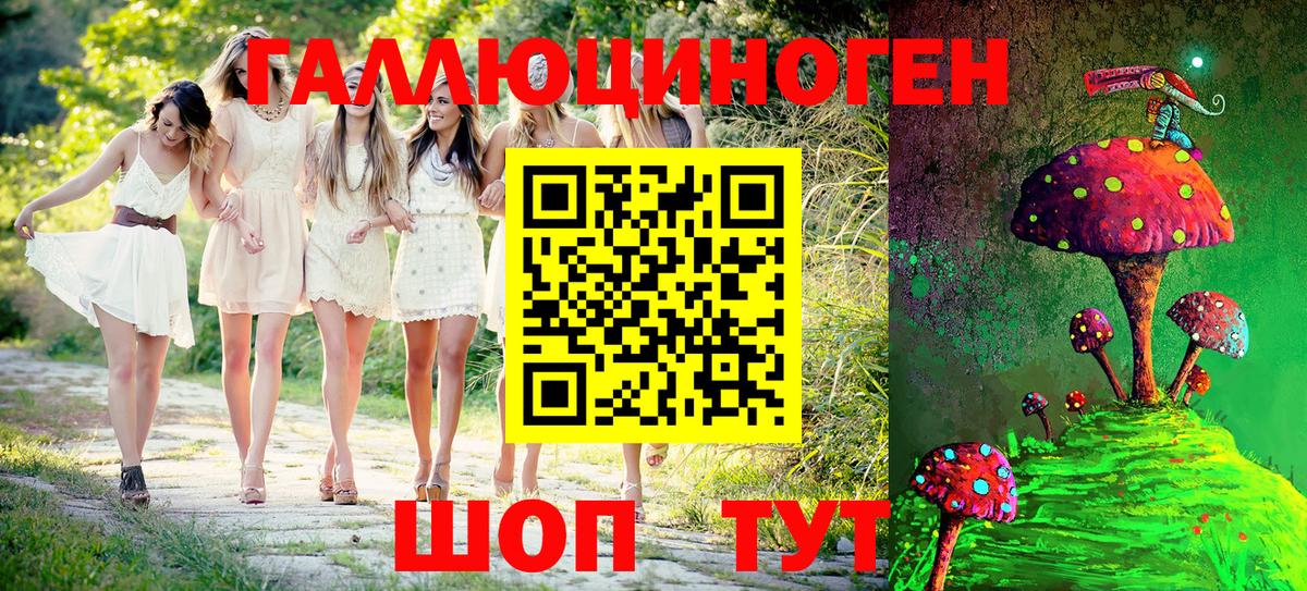 Галлюциногенные грибы Psilocybine cubensis Верхний Уфалей