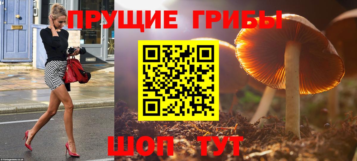 Верхний Уфалей  Псилоцибиновые грибы Magic Shrooms  дарнет шоп  Вход с VPN  Псилоцибиновые грибы MAGIC MUSHROOMS 
